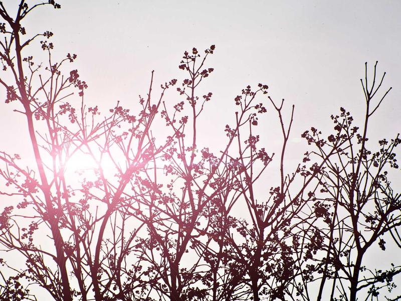 sudoku no mistakes screenshot 5