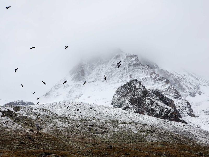 sudoku no mistakes screenshot 3